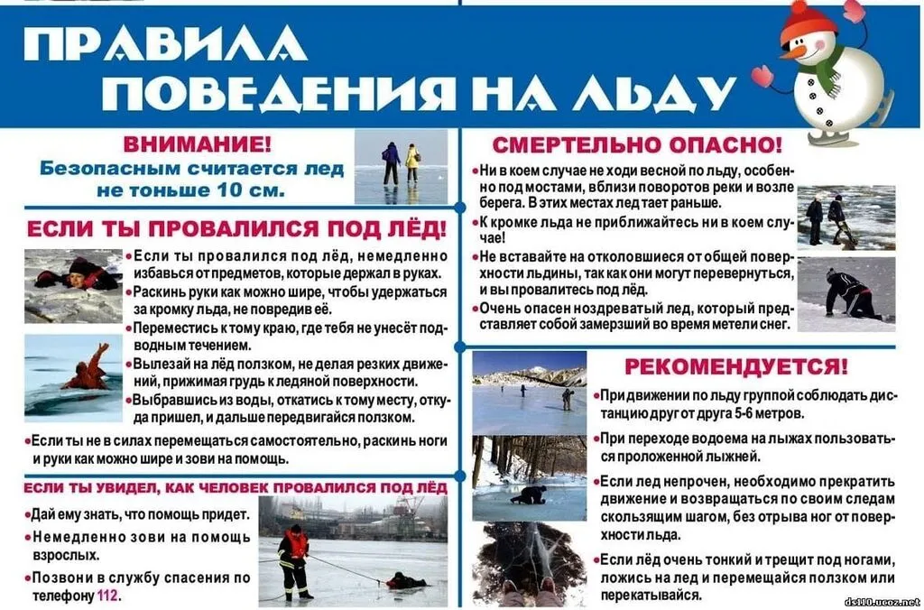 IMG-20230210-WA0016