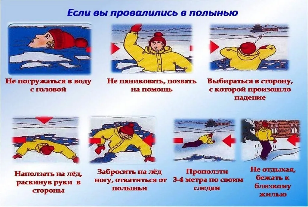 IMG-20230210-WA0015
